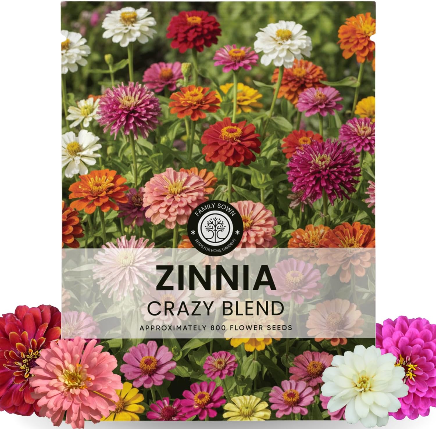Zinnia Crazy Blend – Family Sown
