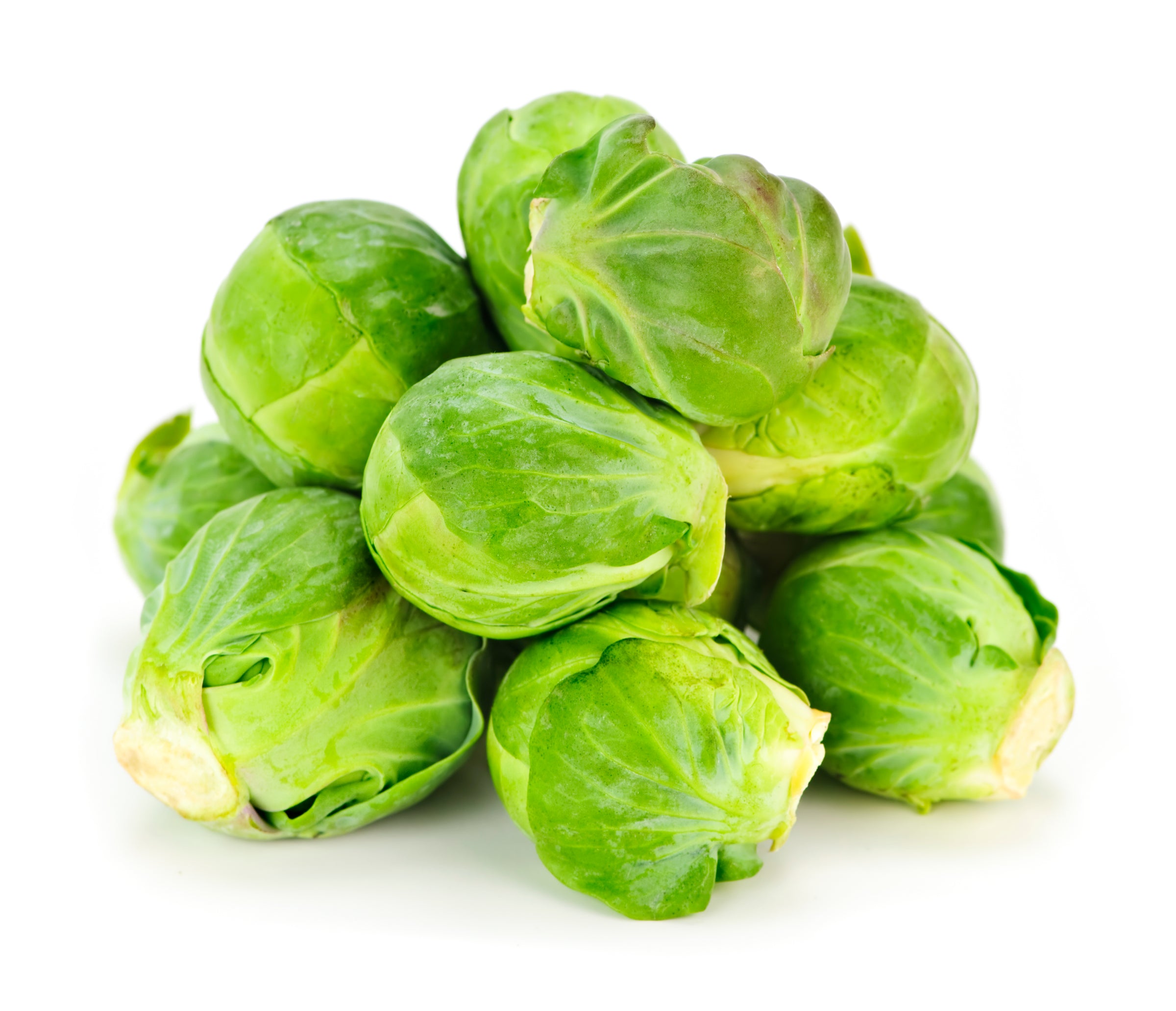 Brussels Sprout Seeds