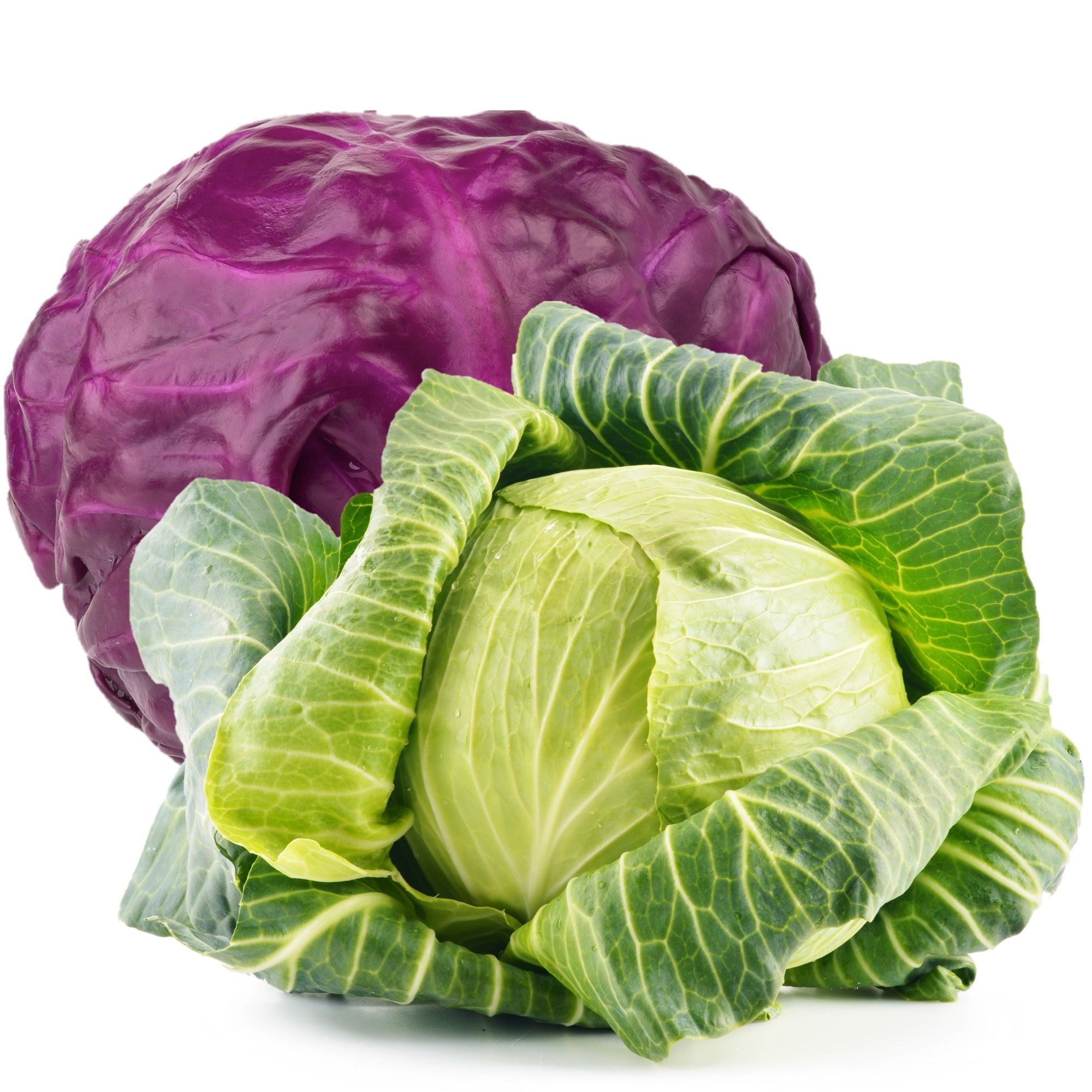 Cabbage Seeds – Family Sown