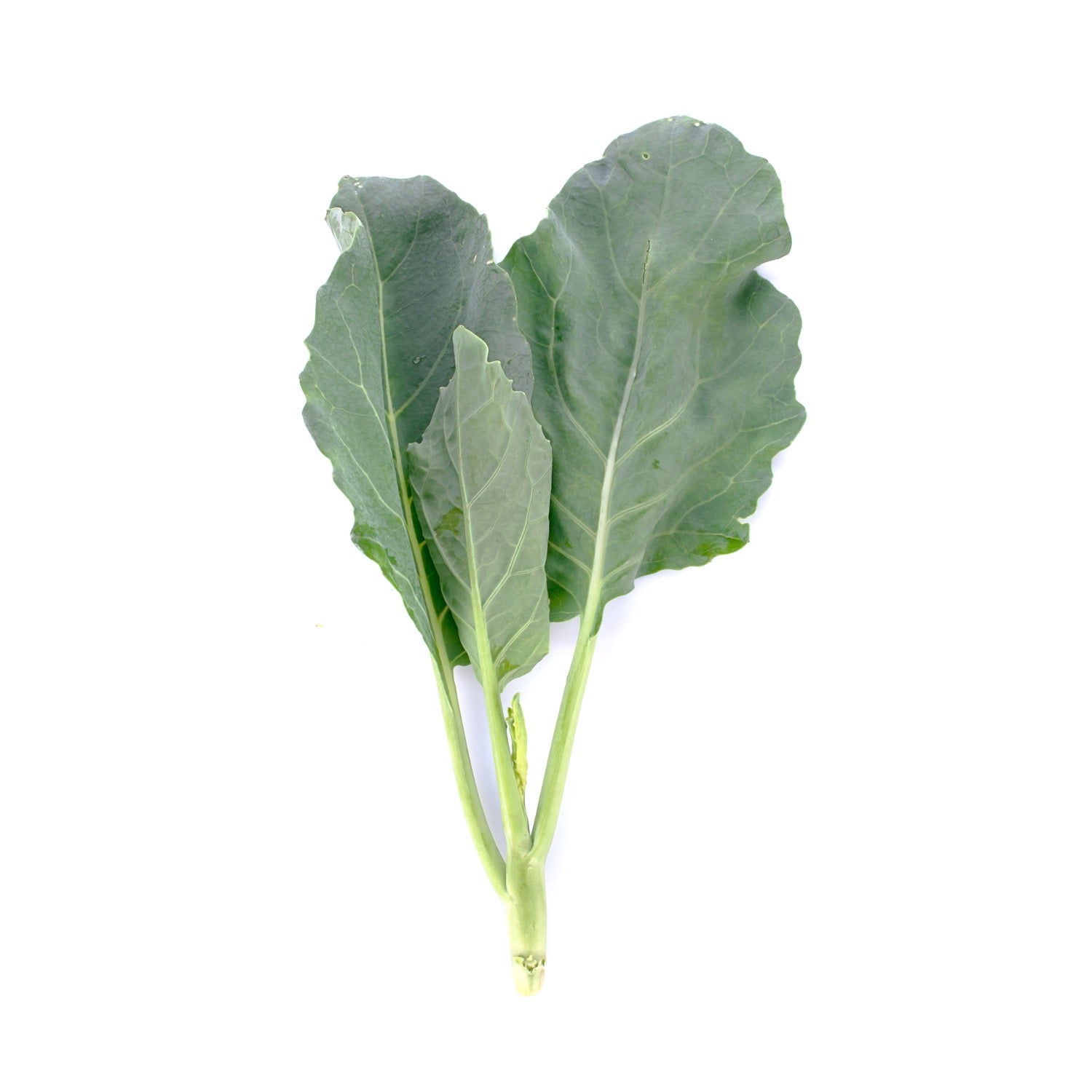 Collard Green Seeds