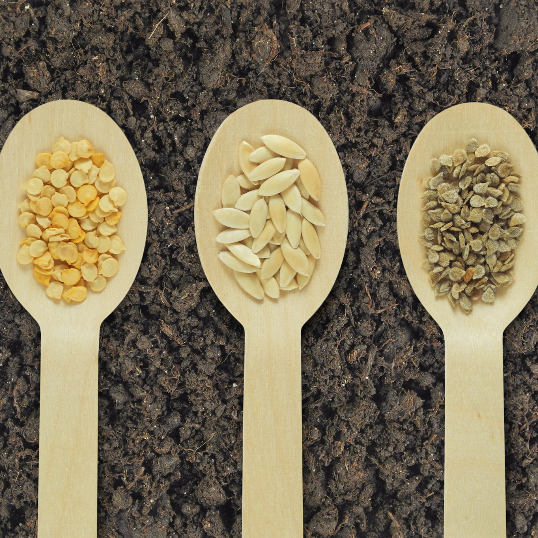 All Seed Collections