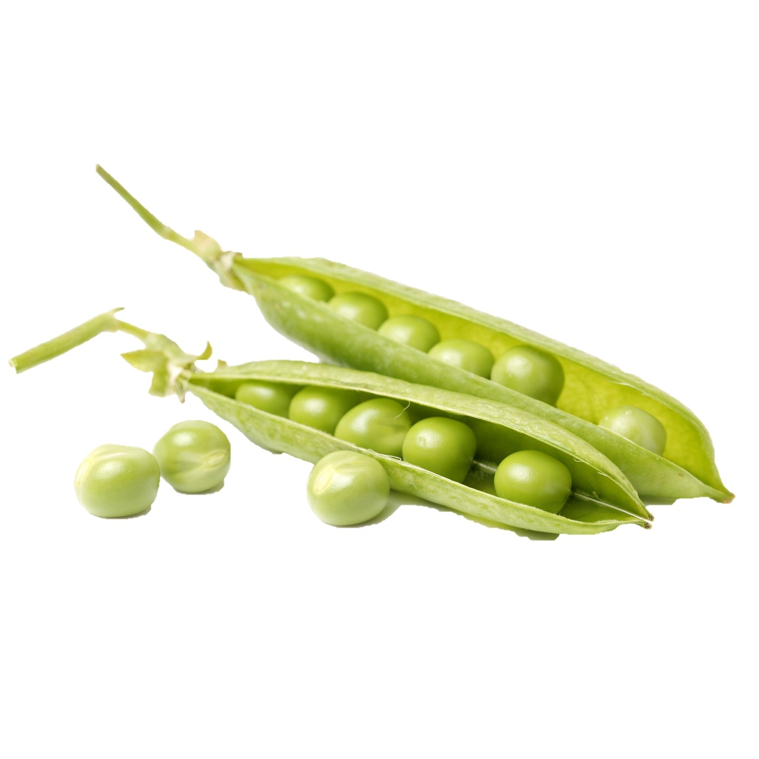 Pea