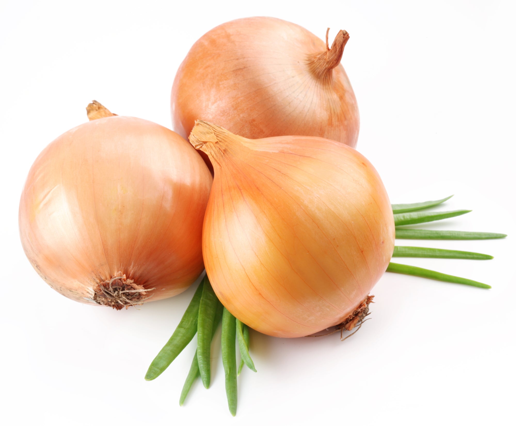 Yellow Onion