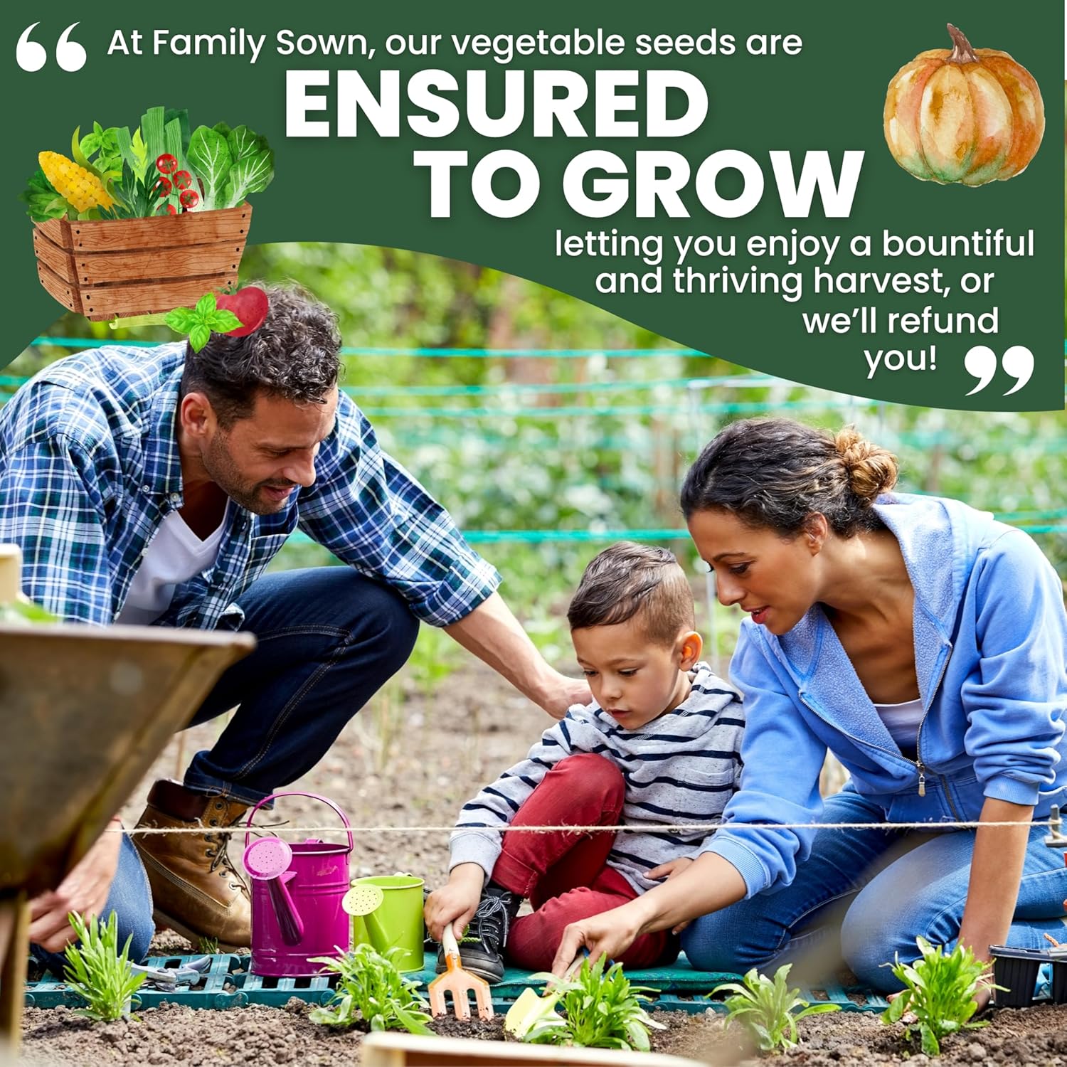 35 Vegetable Seed Packets | Survival Variety Pack