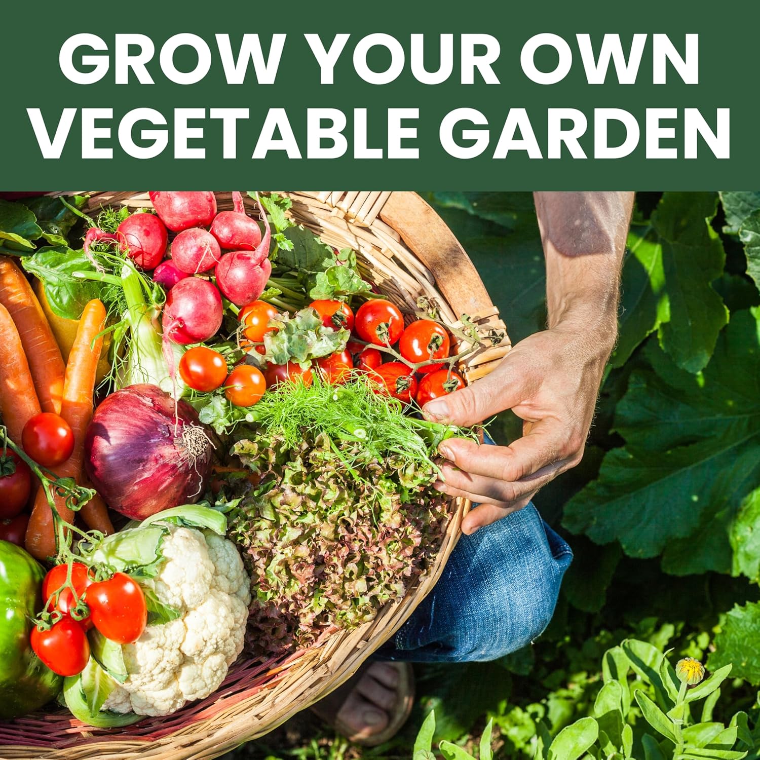 55 Vegetable Seed Packets | Survival Variety Pack