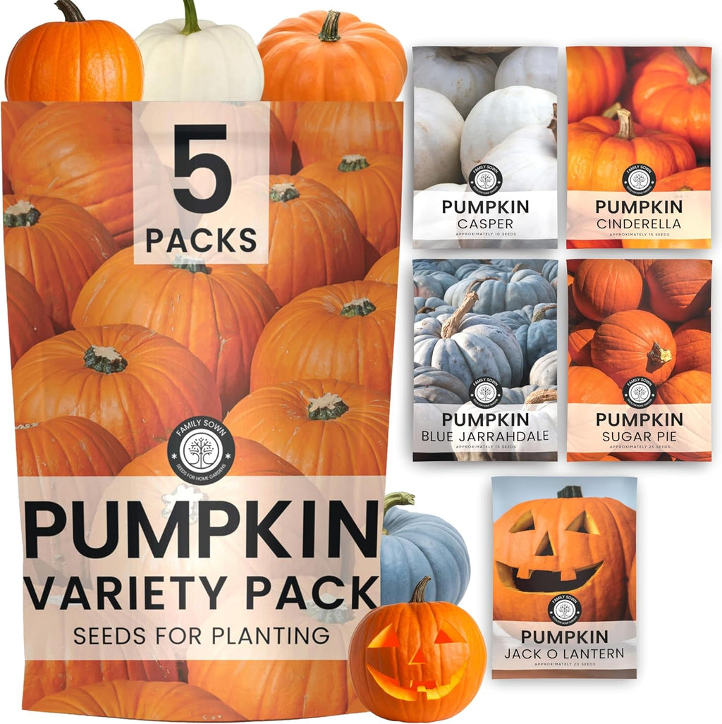 Pumpkin Seeds | 5 Invidiual Packs