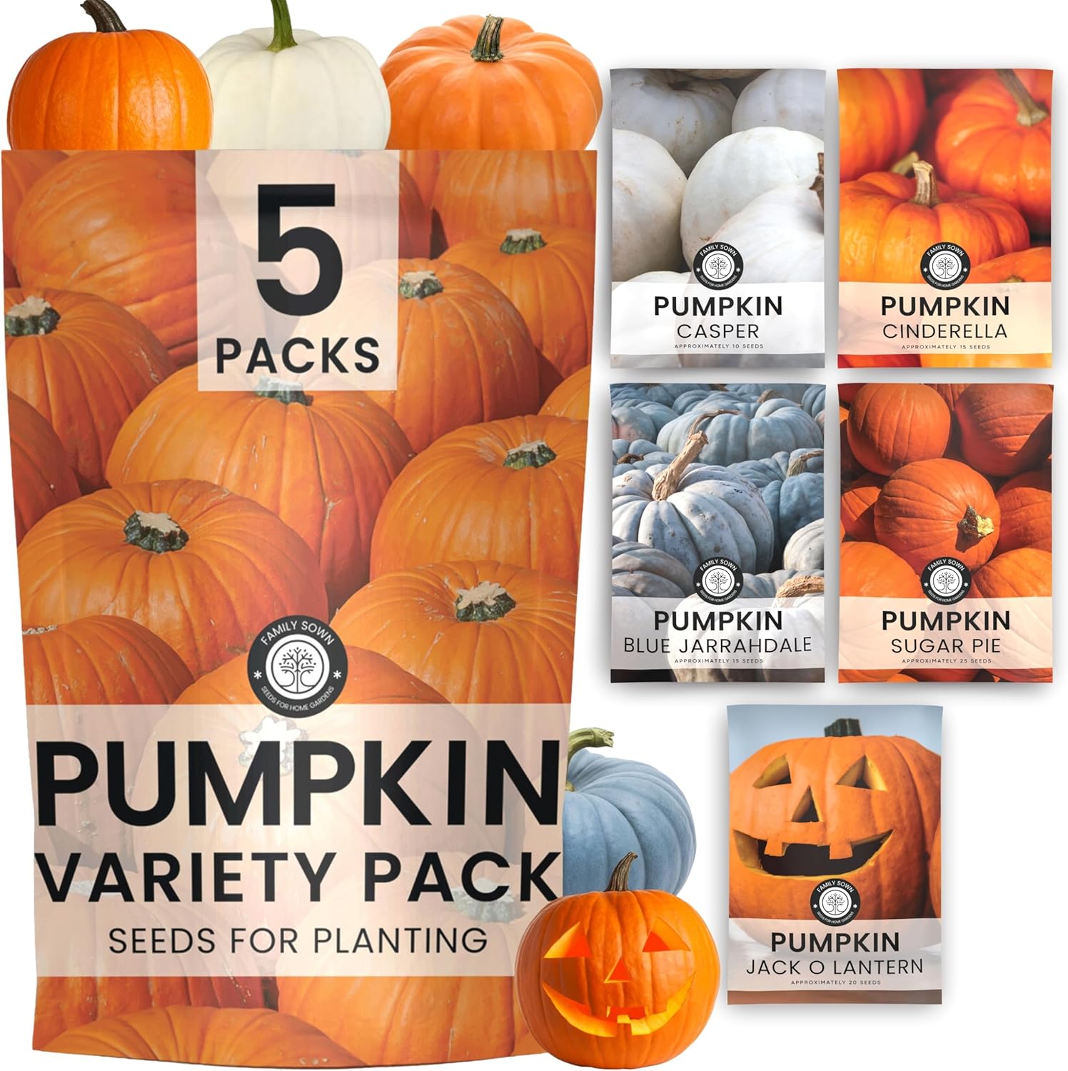 Pumpkin Seeds | 5 Invidiual Packs