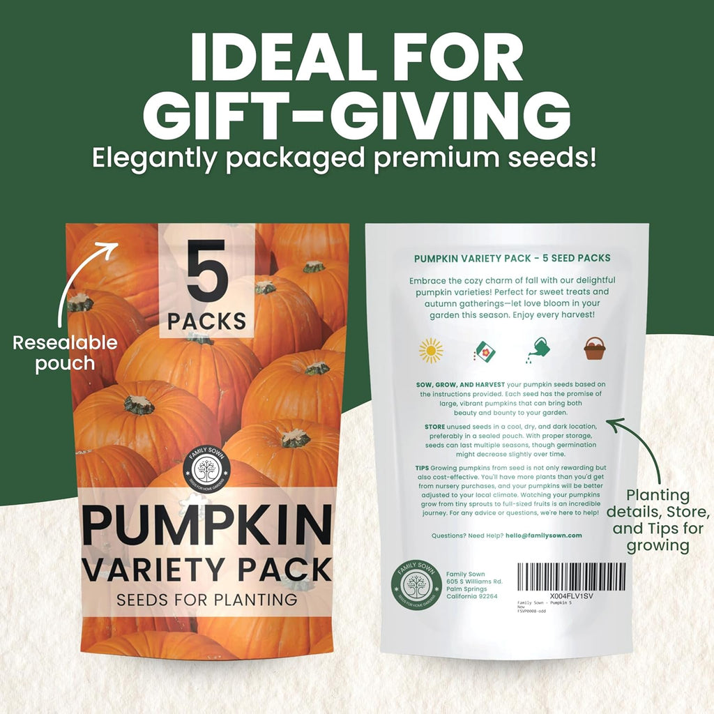Pumpkin Seeds | 5 Invidiual Packs