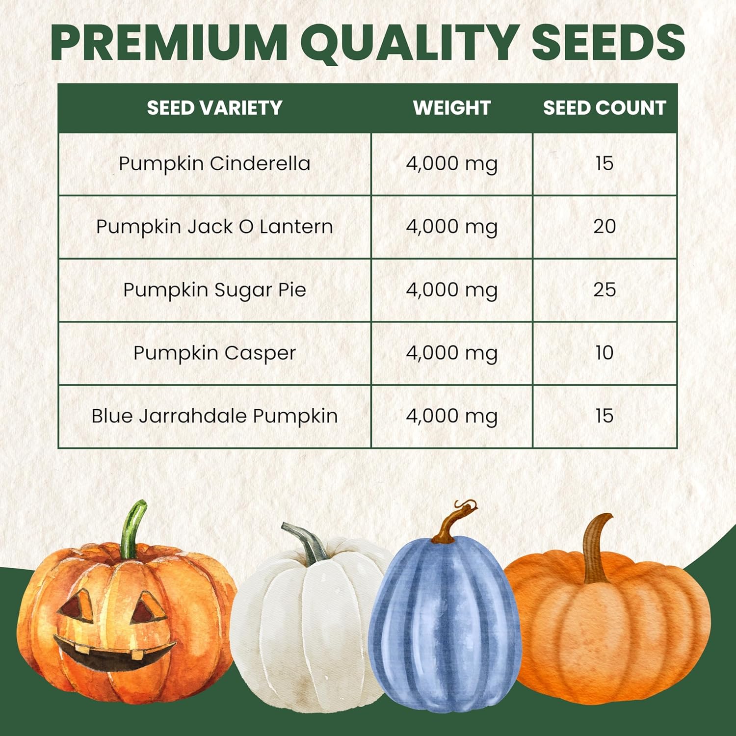 Pumpkin Seeds | 5 Invidiual Packs