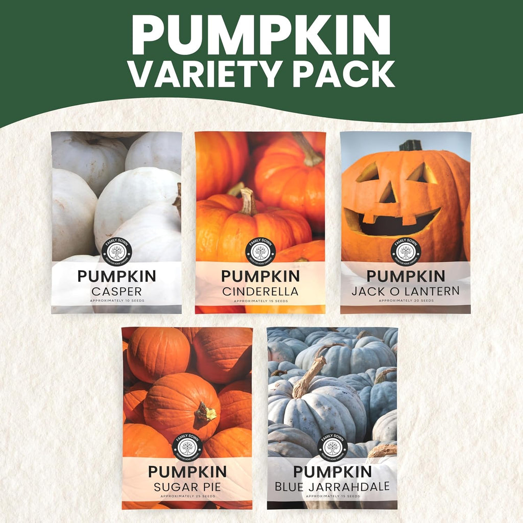 Pumpkin Seeds | 5 Invidiual Packs