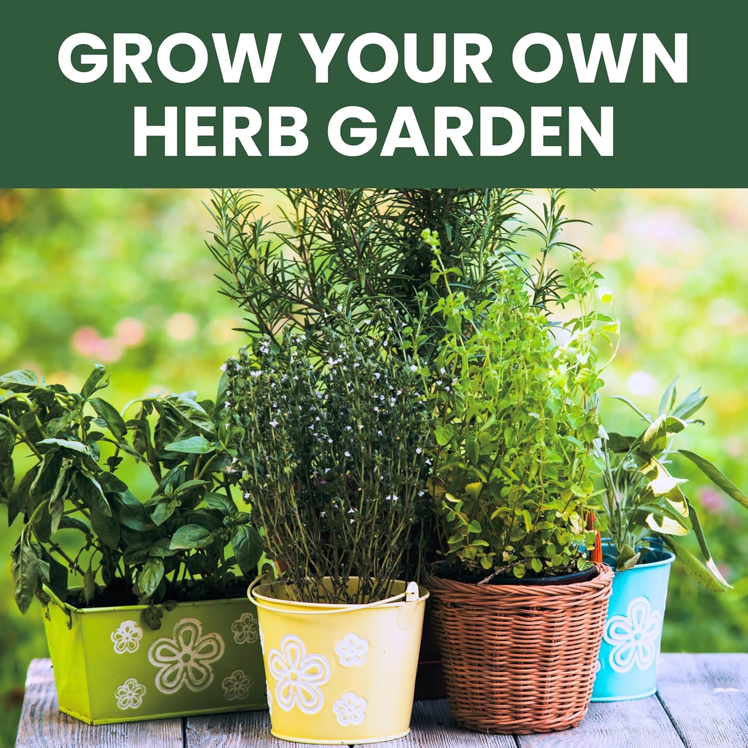 Herb Seeds | 5 Invidiual Packs