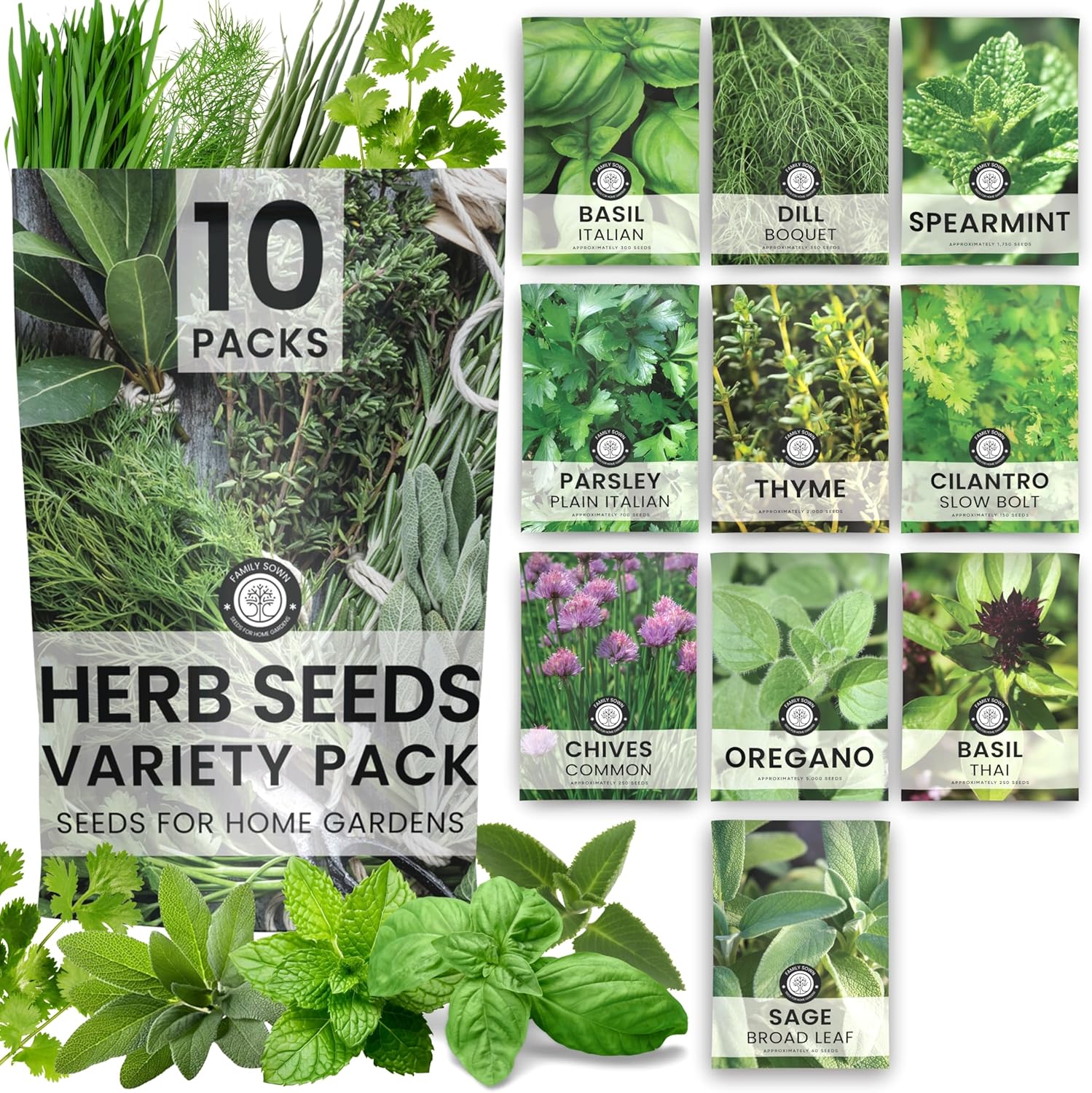 Herb Seeds | 10 Invidiual Packs