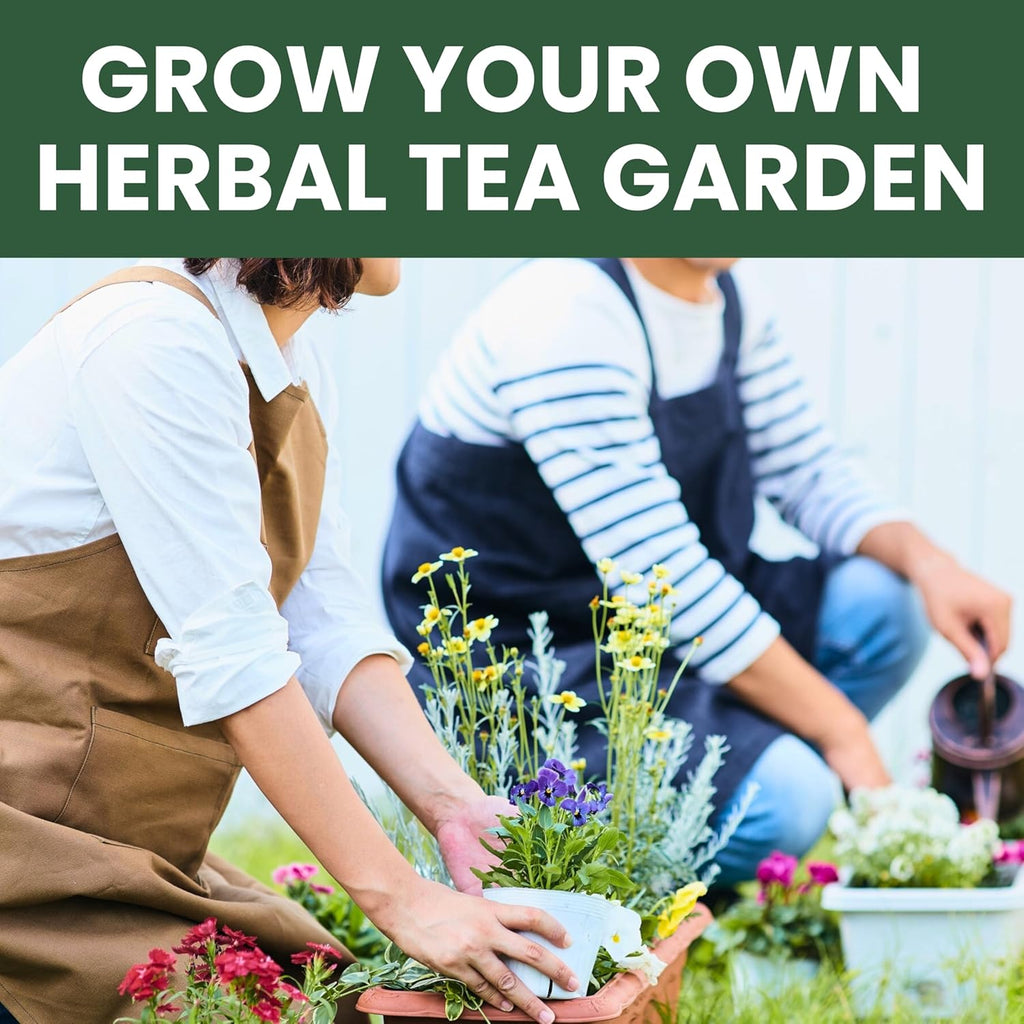 Herbal Tea Garden Seeds | 15 Individual Packs