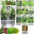 Leafy Greens Seeds | 10 Individual Packs