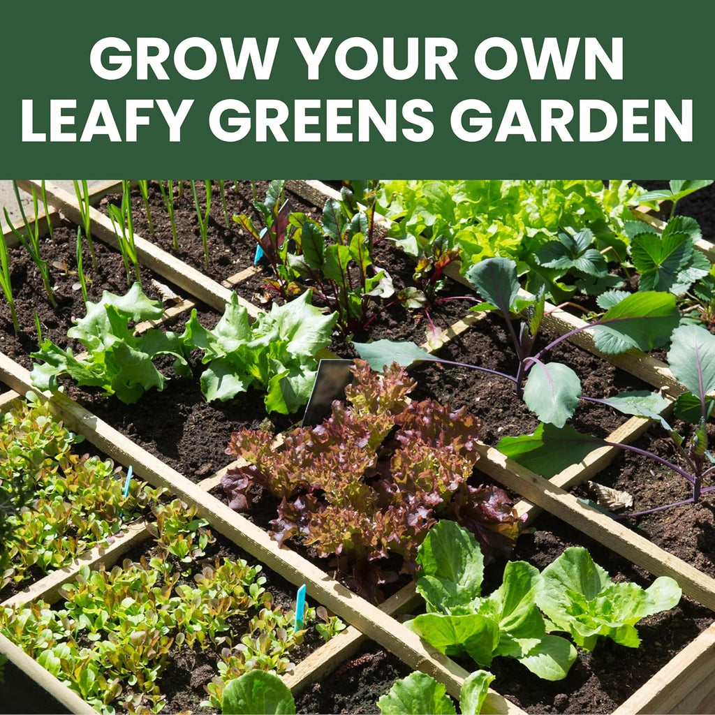 Leafy Greens Seeds | 10 Individual Packs