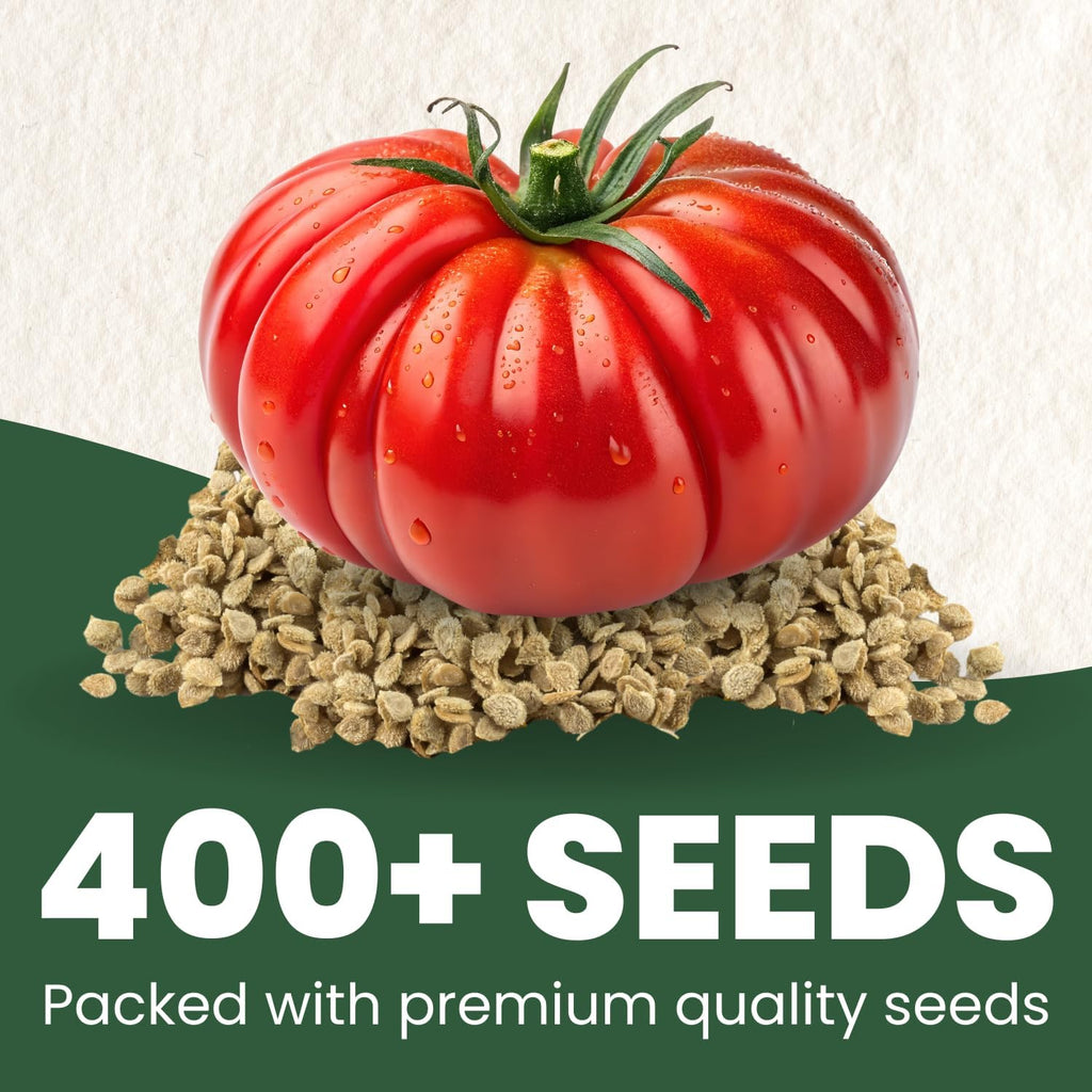 Beefsteak Tomato Seeds