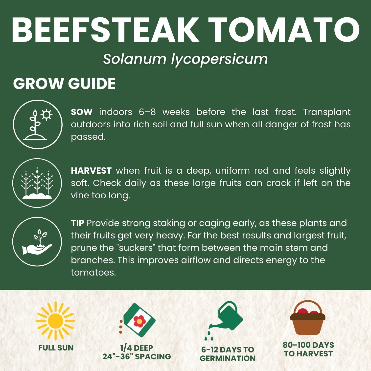 Beefsteak Tomato Seeds