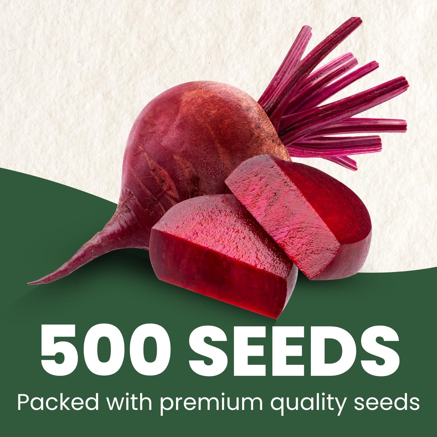 Detroit Dark Red Beet