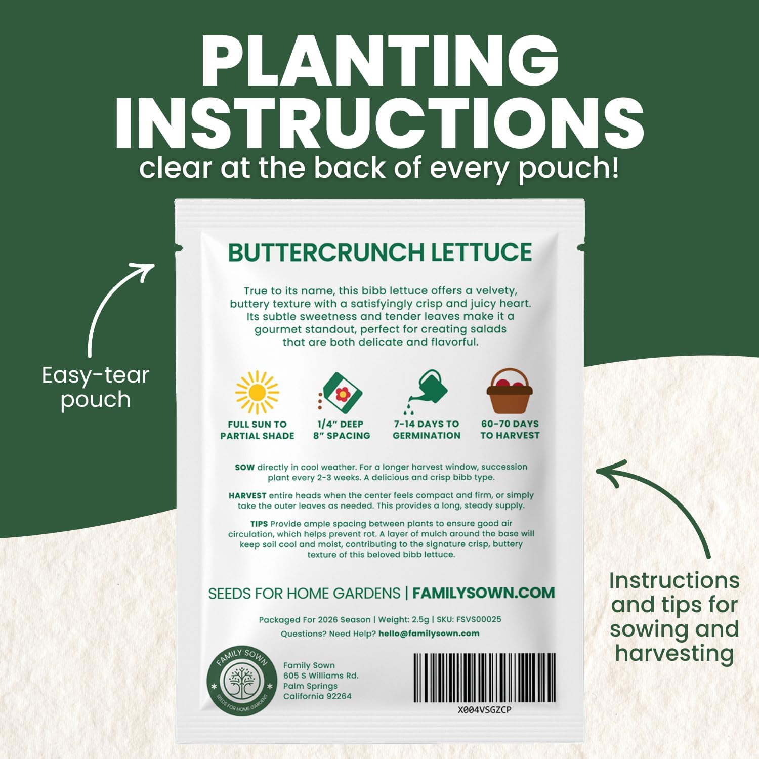 Buttercrunch Lettuce