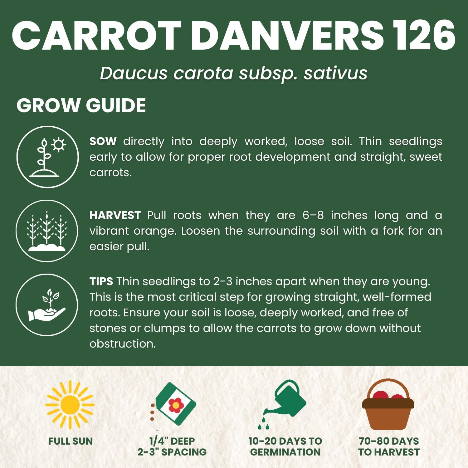 Carrot Danvers 126