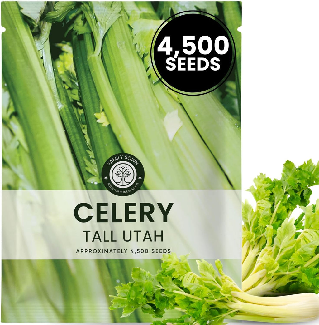 Celery Tall Utah