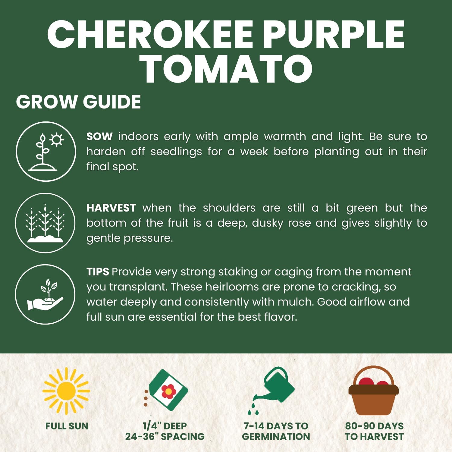 Cherokee Purple Tomato