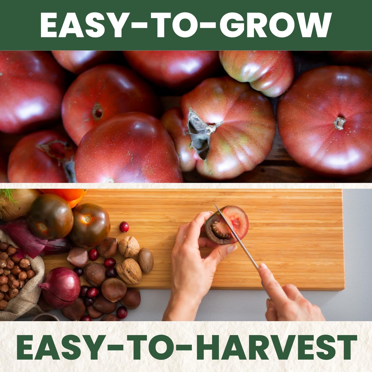 Cherokee Purple Tomato