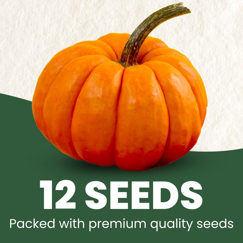 Cinderella Pumpkin Seeds