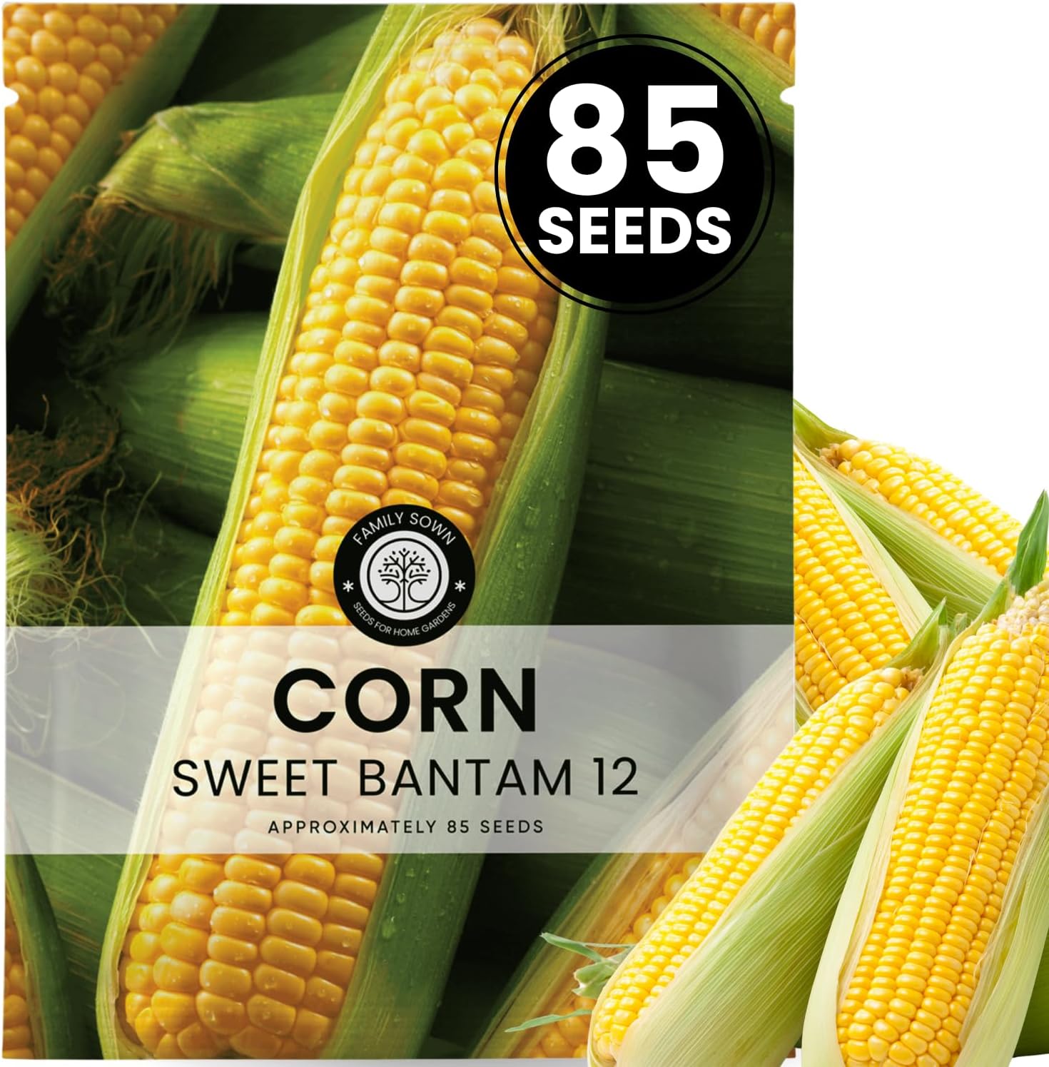 Corn Sweet Bantam 12