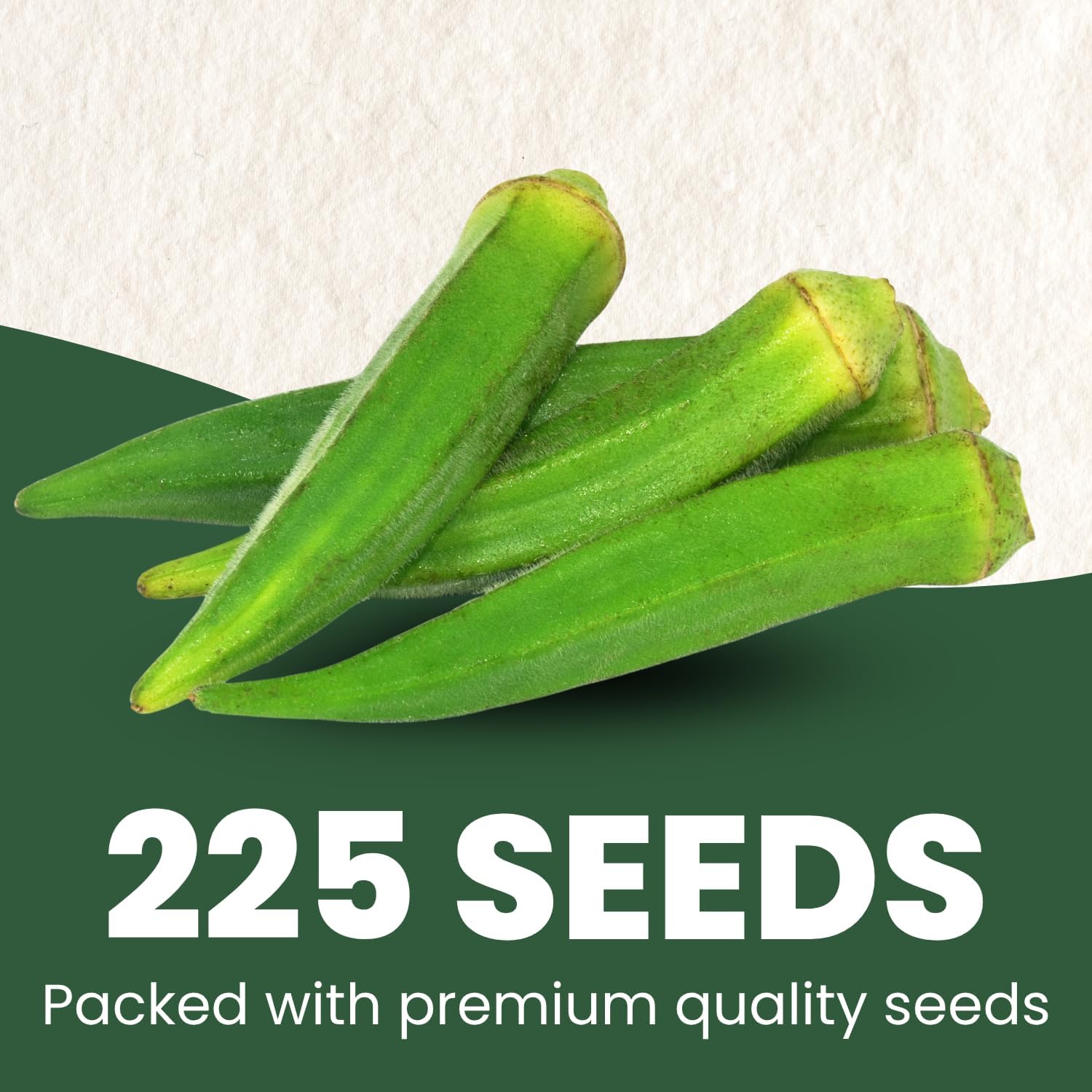 Okra Clemson Spineless