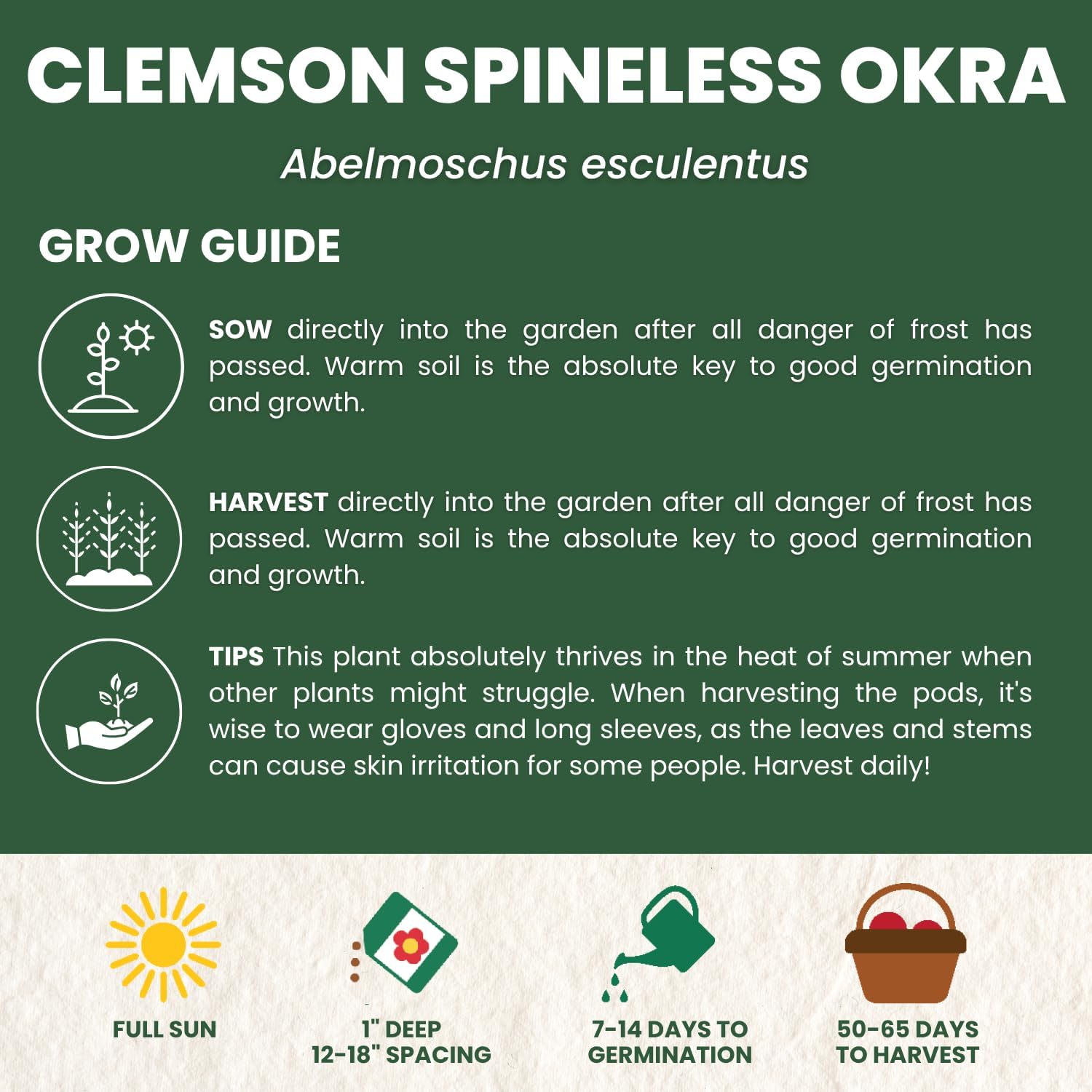 Okra Clemson Spineless
