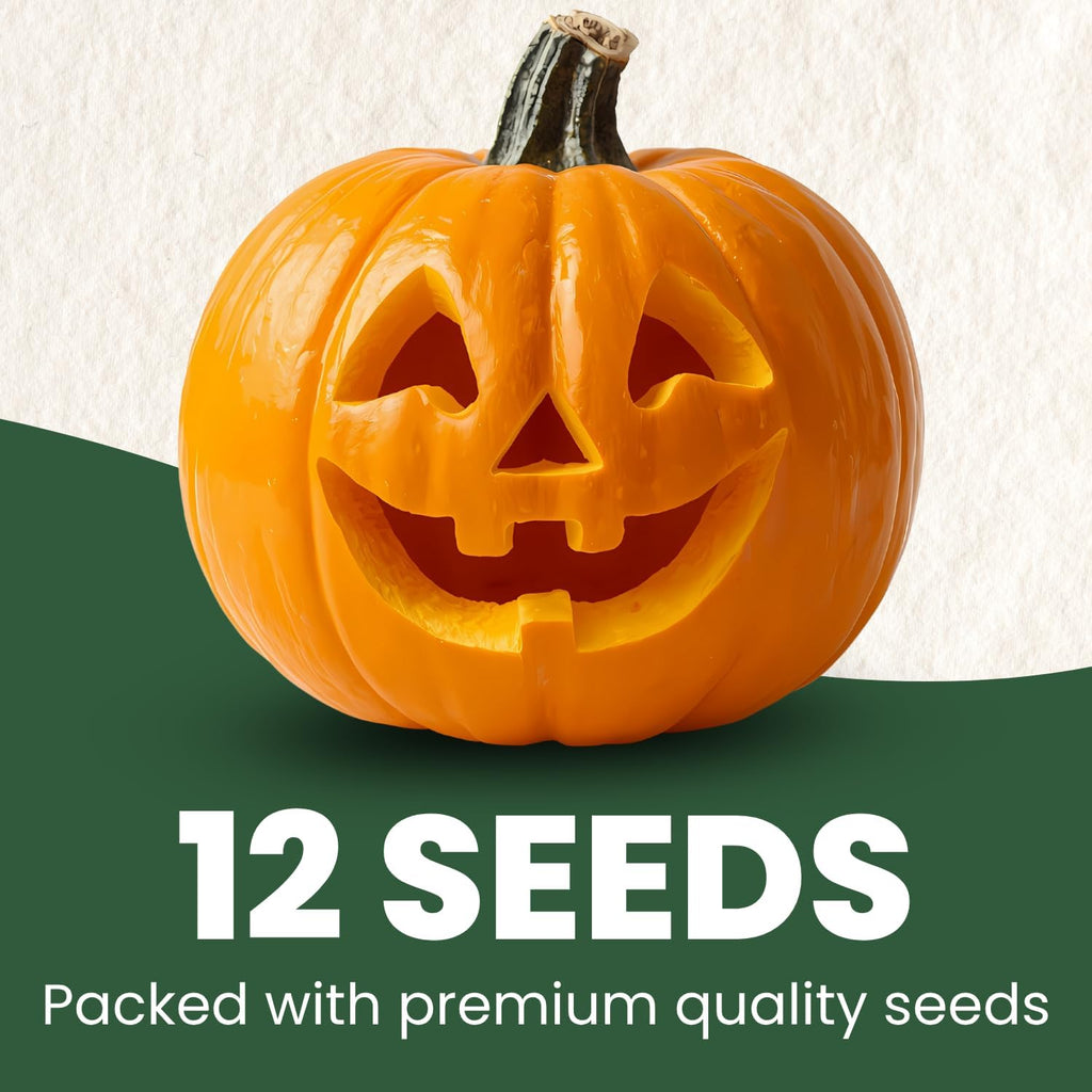 Jack-O’-Lantern Pumpkin Seeds