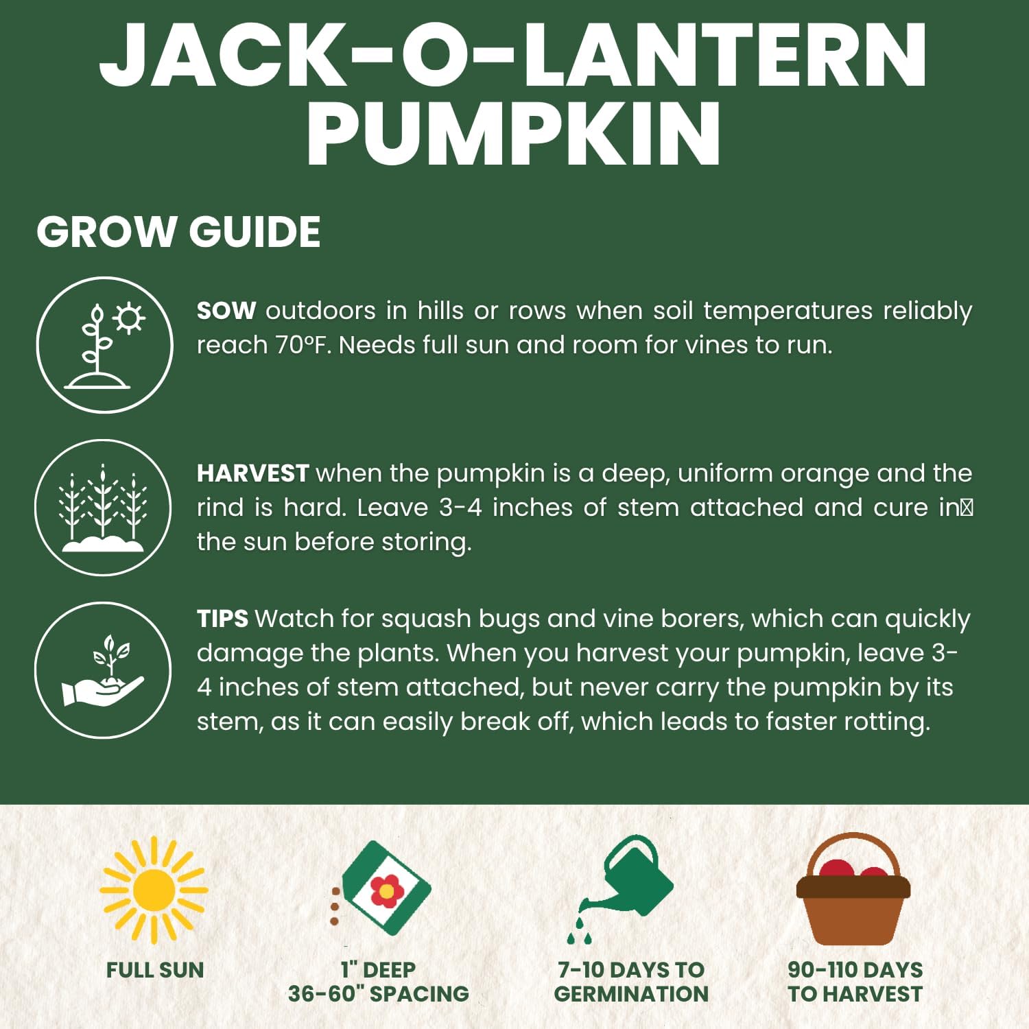 Jack-O’-Lantern Pumpkin Seeds