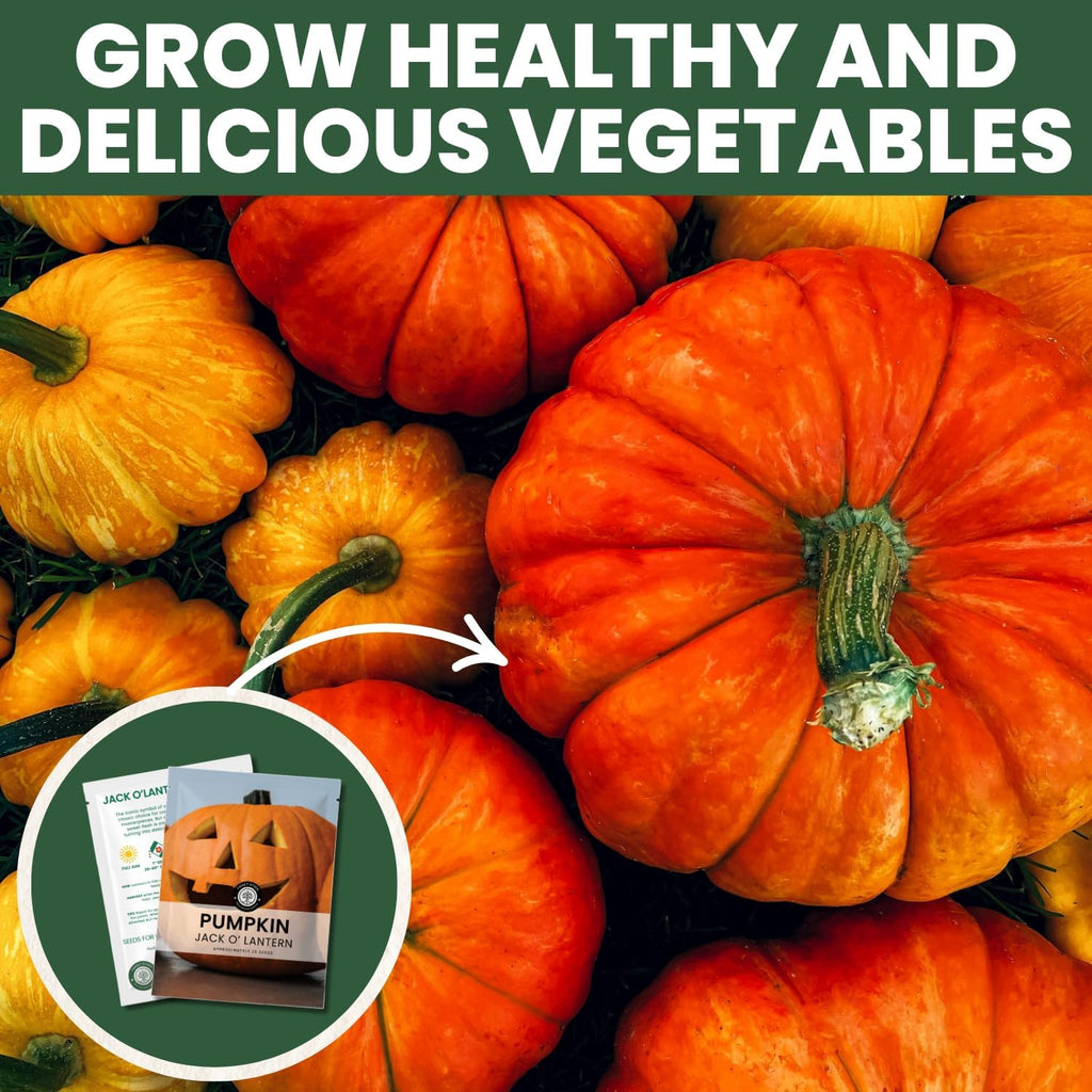 Jack-O’-Lantern Pumpkin Seeds