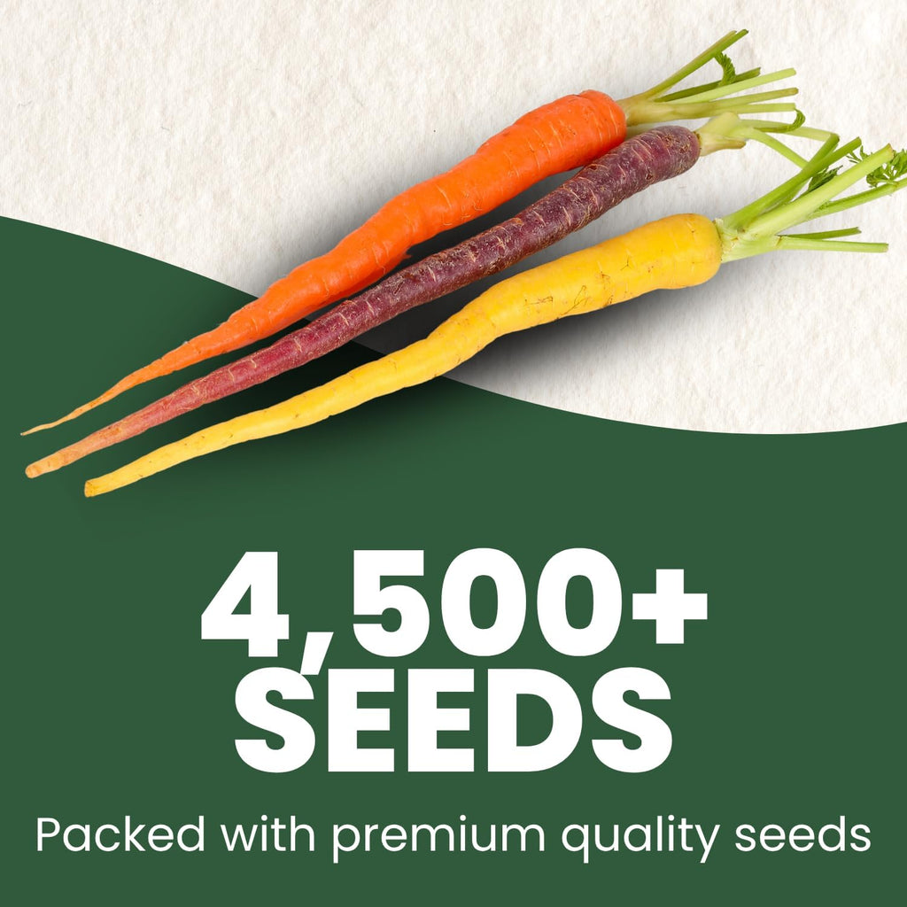 Carrot Rainbow Mix