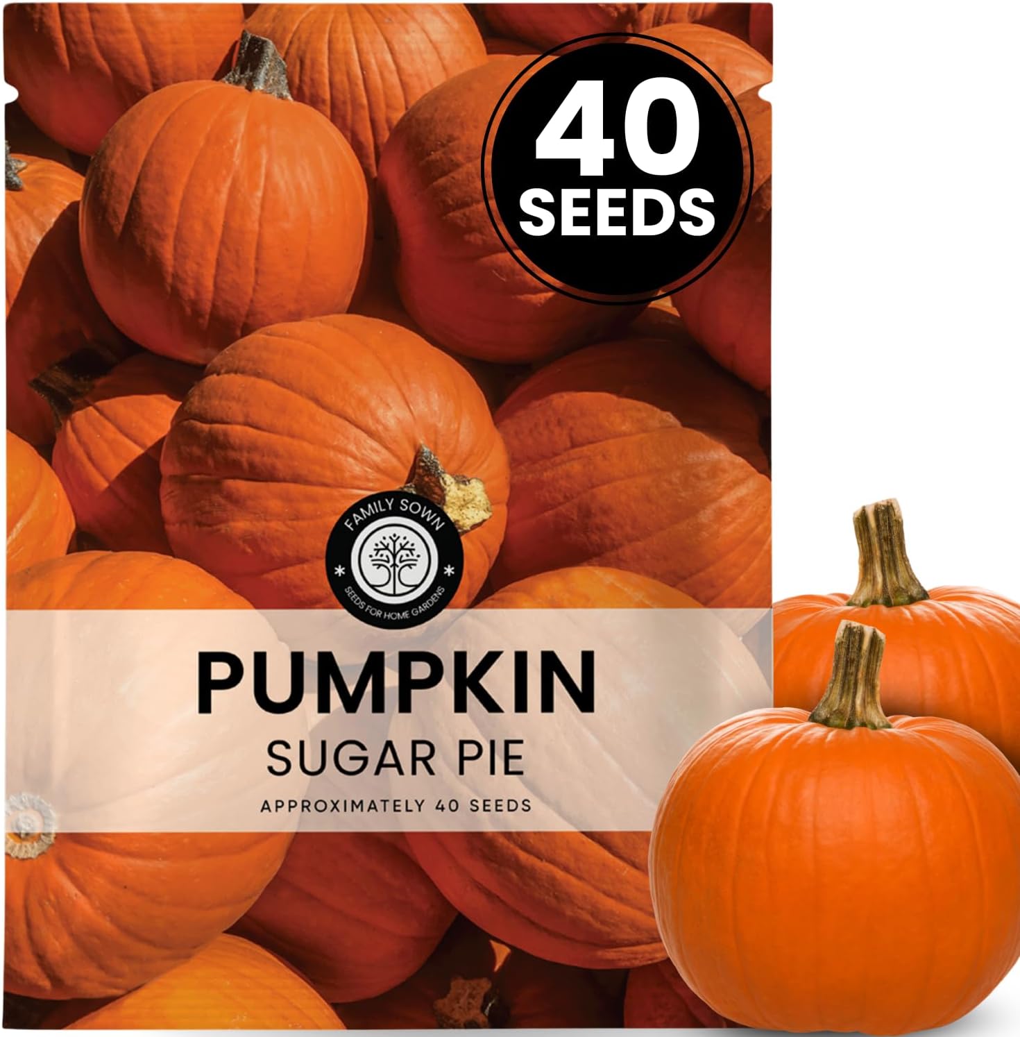 Sugar Pie Pumpkin Seeds