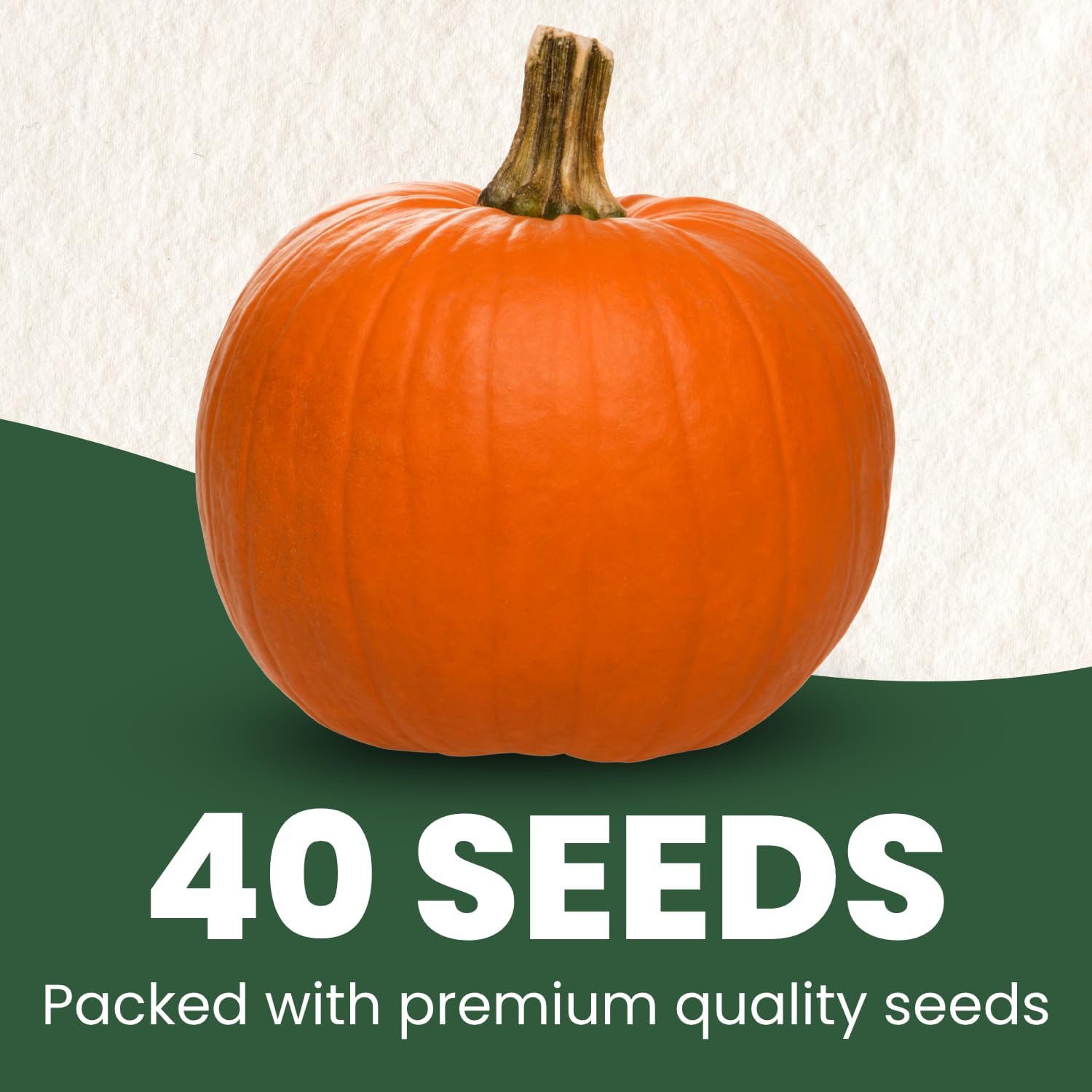 Sugar Pie Pumpkin Seeds