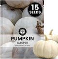 Pumpkin Casper