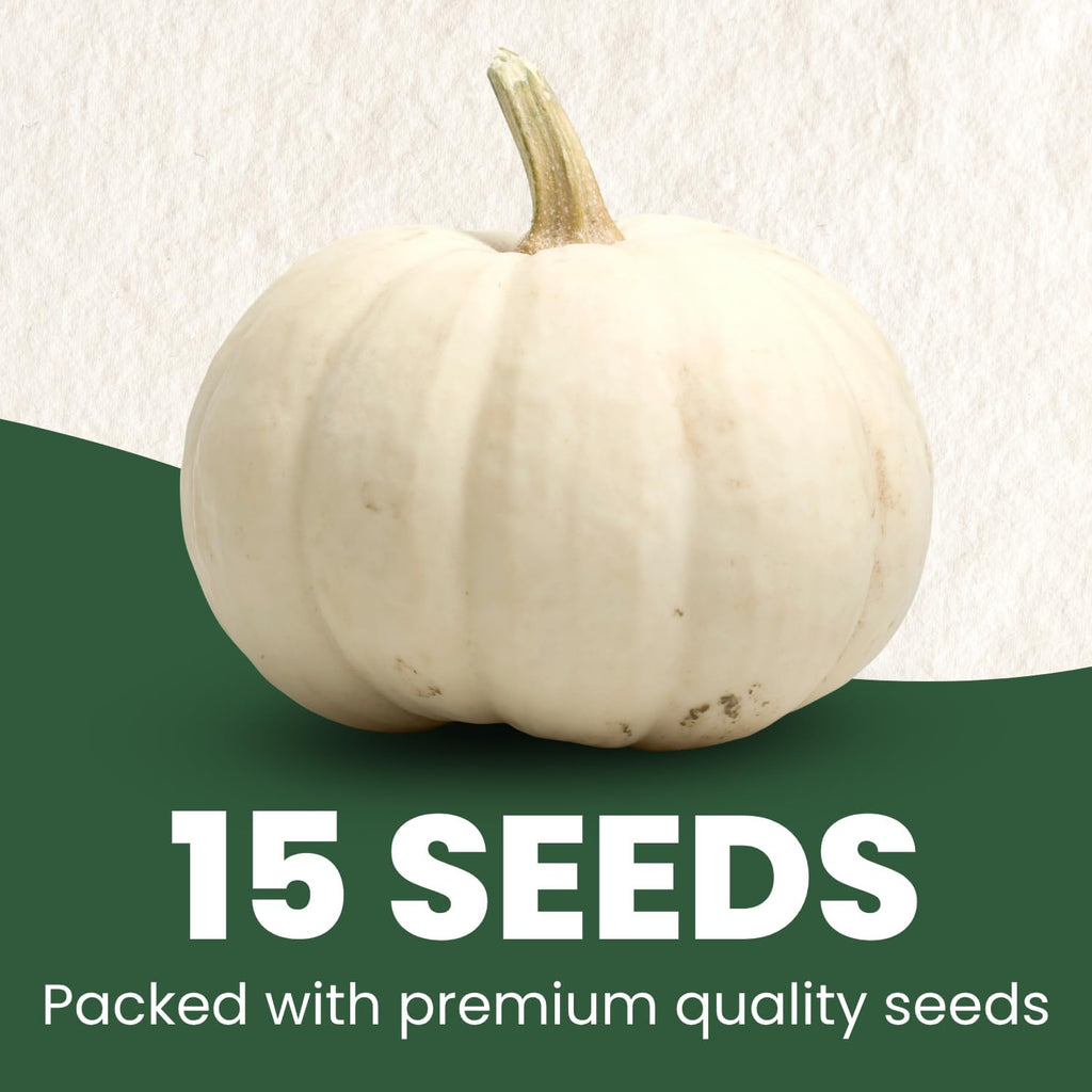 Pumpkin Casper