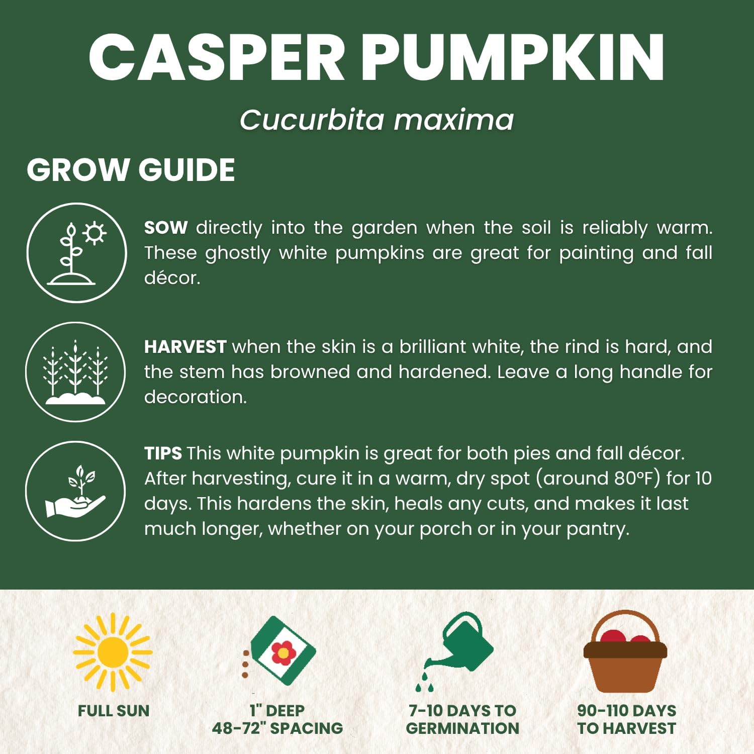 Pumpkin Casper