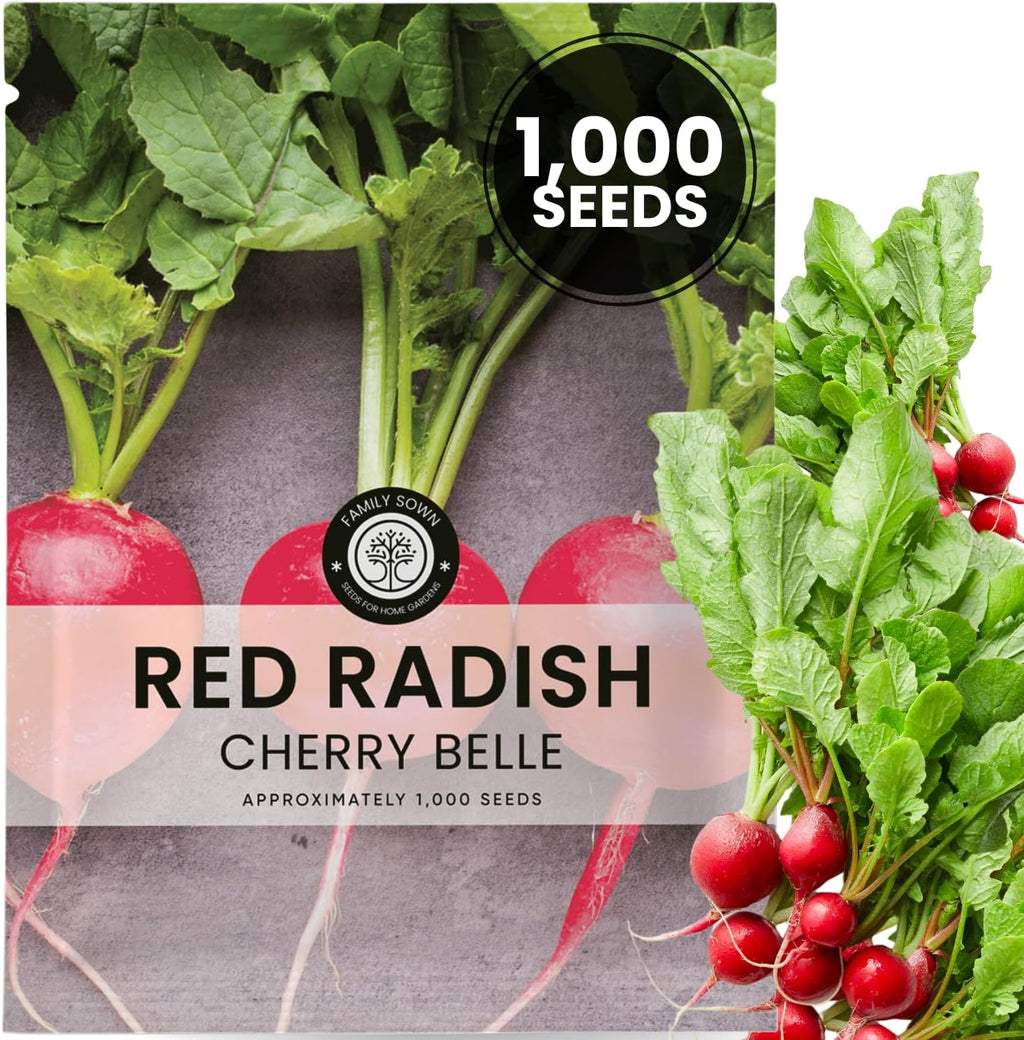 Red Radish Cherry Belle