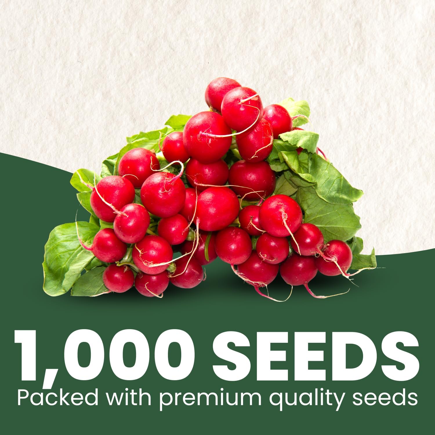 Red Radish Cherry Belle