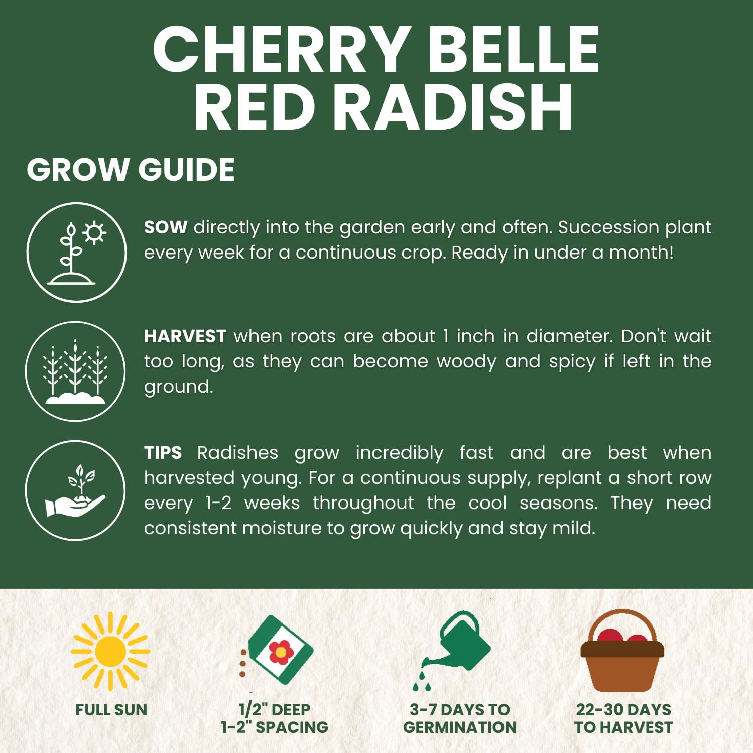 Red Radish Cherry Belle