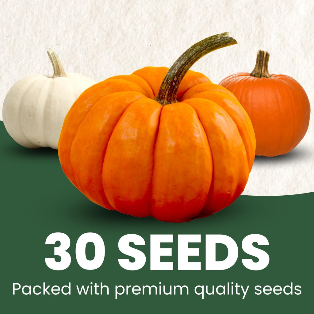 Pumpkin Mix
