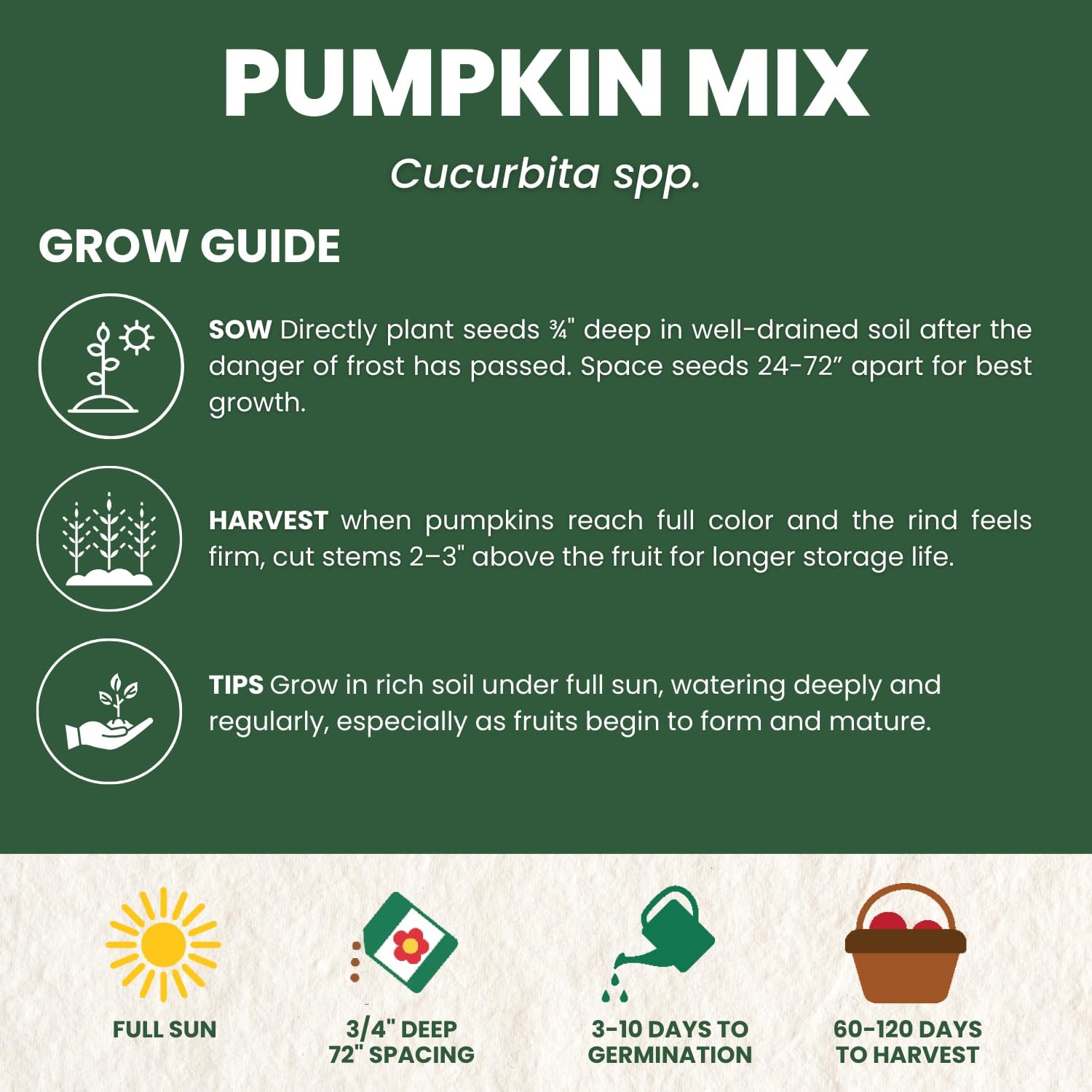 Pumpkin Mix