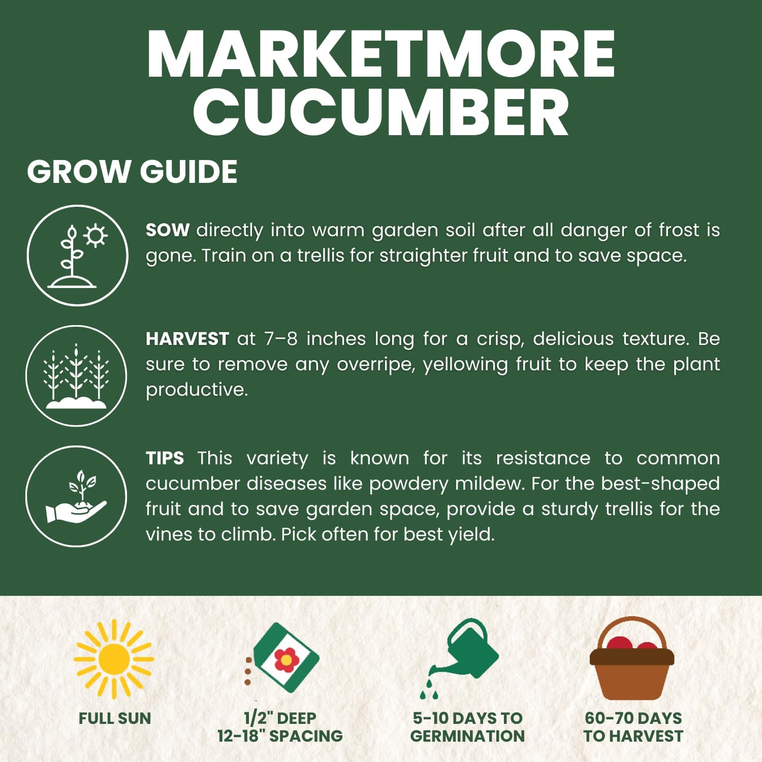 Marketmore Cucumber