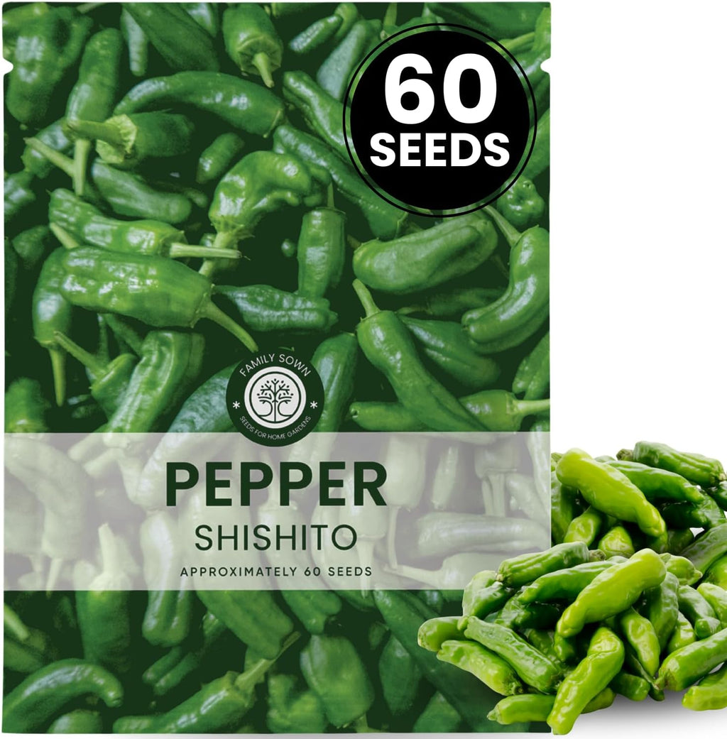 Shishito Pepper