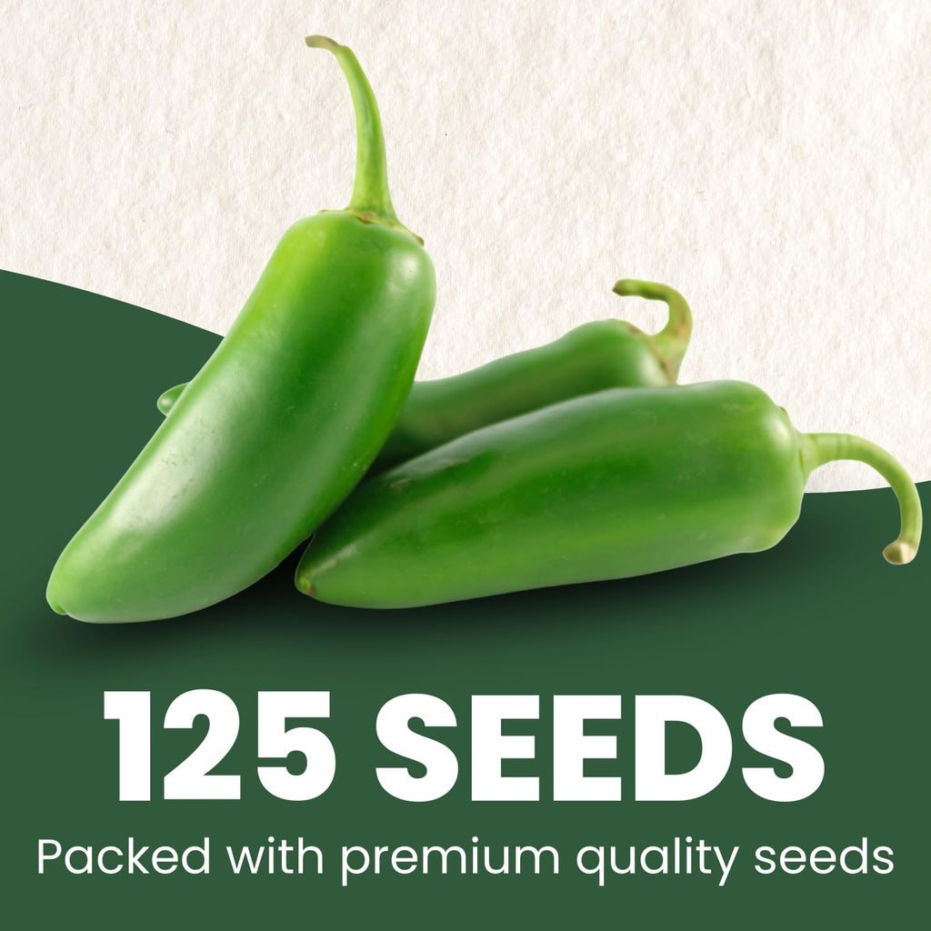 Jalapeno Pepper