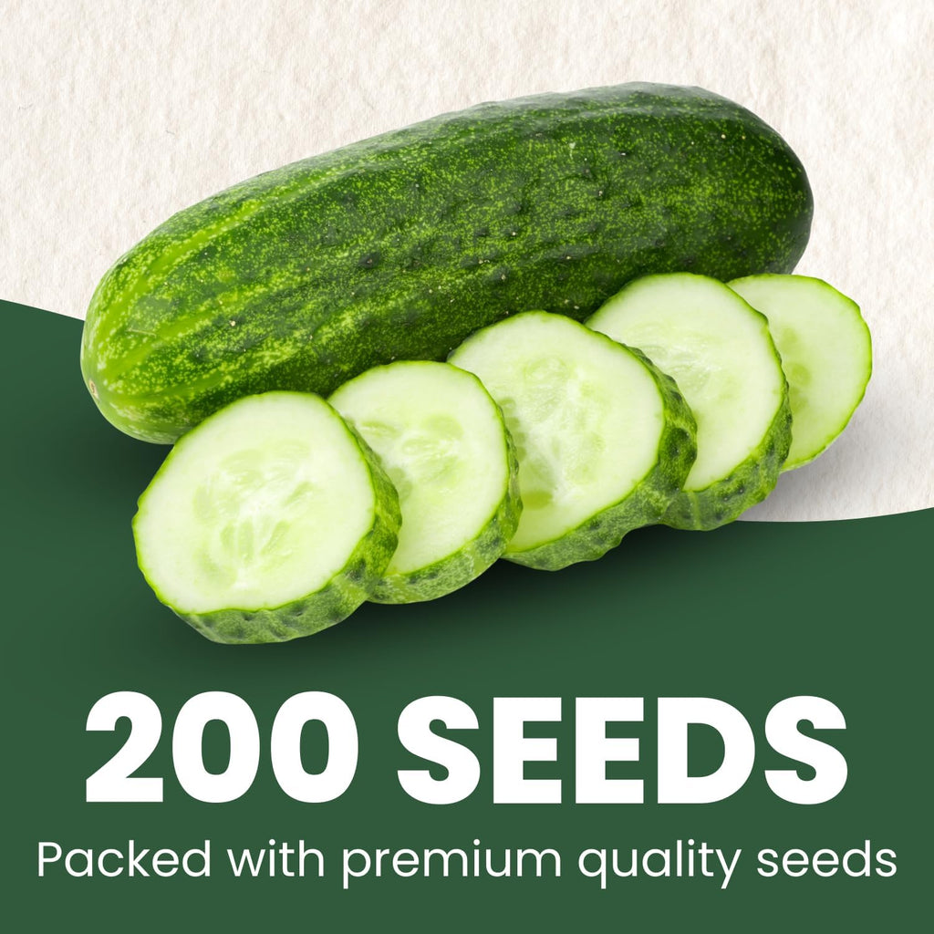 Cucumber Muncher