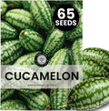 Cucamelon